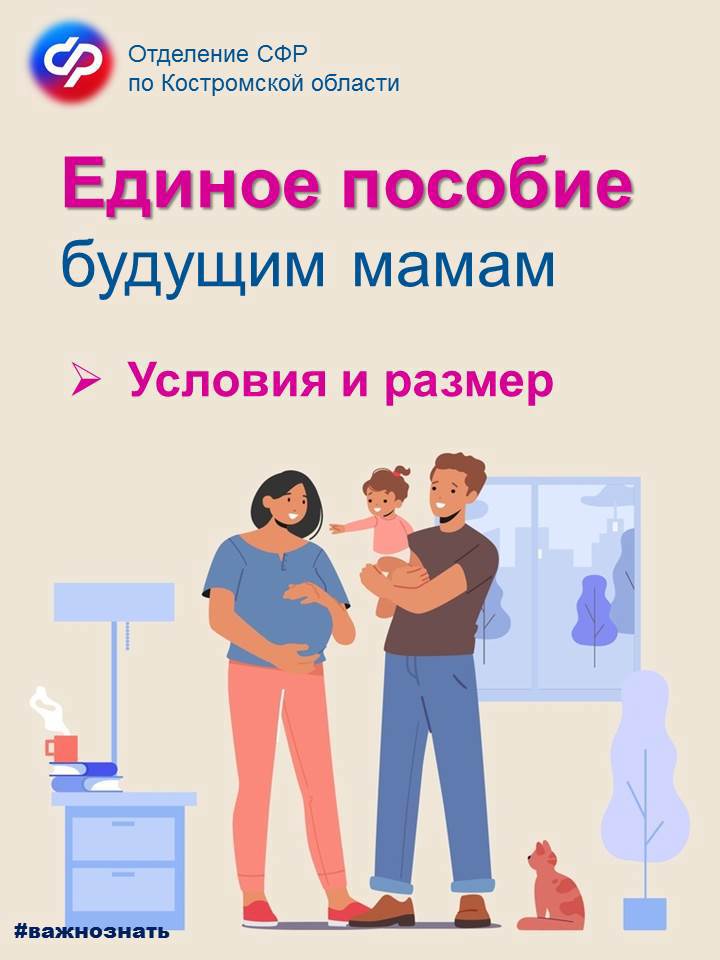 В Костромской области единое пособие получают более тысячи беременных женщин