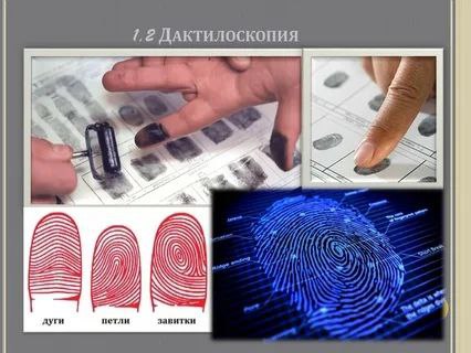 Добровольная дактилоскопическая регистрация: «Зачем мне это нужно?»