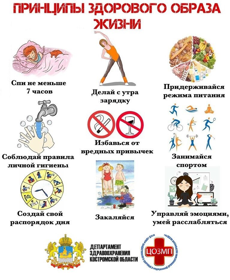 Принципы здорового образа жизни