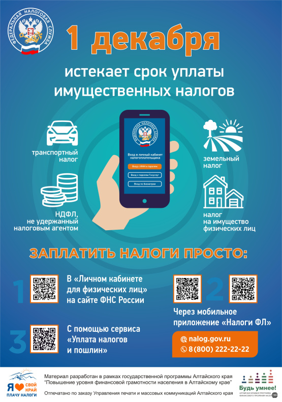 1 декабря 2025 года истекает срок оплаты имущественных налогов за 2024 год