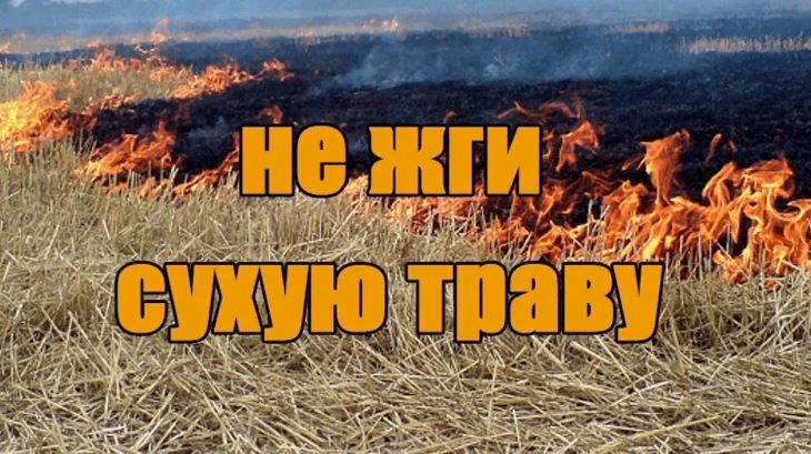 Пал травы — одна из главных причин лесных пожаров
