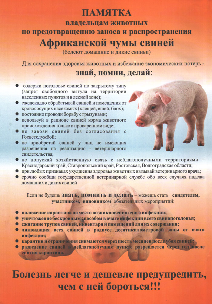 памятка АЧС 2.jpg памятка АЧС 2.jpg