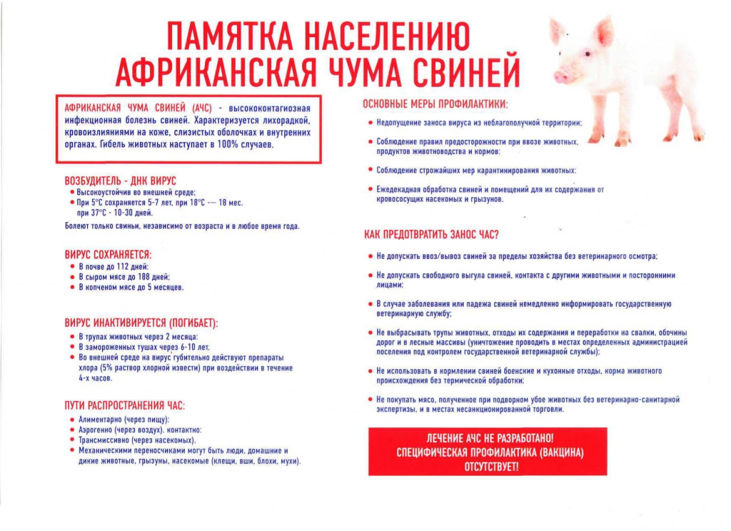 пямятка АЧС.jpg пямятка АЧС.jpg