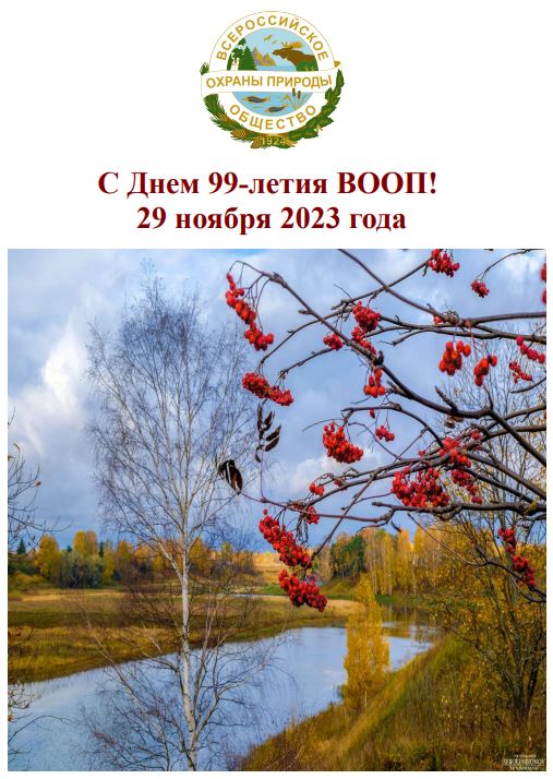 Снимок.JPG