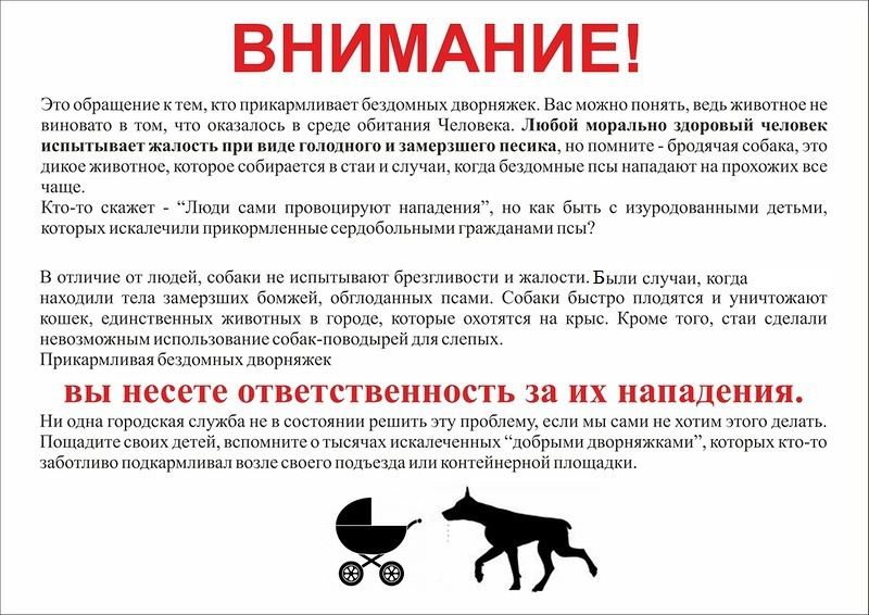 животные.jpg животные.jpg