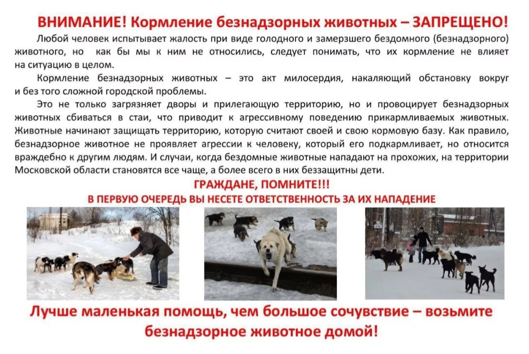 запрет кормление безнадзорного животного.jpg запрет кормление безнадзорного животного.jpg