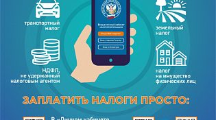 1 декабря 2025 года истекает срок оплаты имущественных налогов за 2024 год