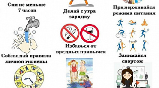 Принципы здорового образа жизни